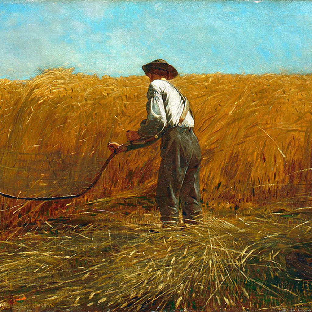The Wheat and Tares Parable in the Social Media Age