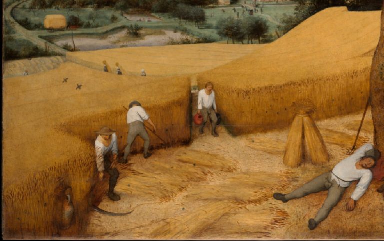 Workers harvesting wheat, an allegory for 'Should I Serve a Mission?'