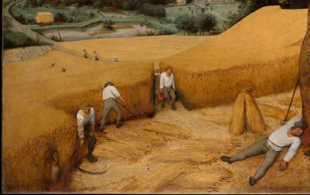 Workers harvesting wheat, an allegory for 'Should I Serve a Mission?'