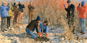 Two neighbors plant a young tree together in a vacant lot, illustrating faithful, real-world stewardship beyond christian social media.