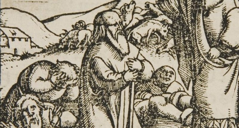 Learning in a Time of Plague
