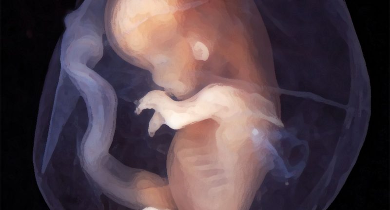 Poly-Parenting: Is This The Brave New World We Want?