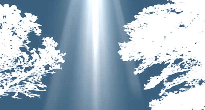 Searching for God (Instead of Ideas about Him)