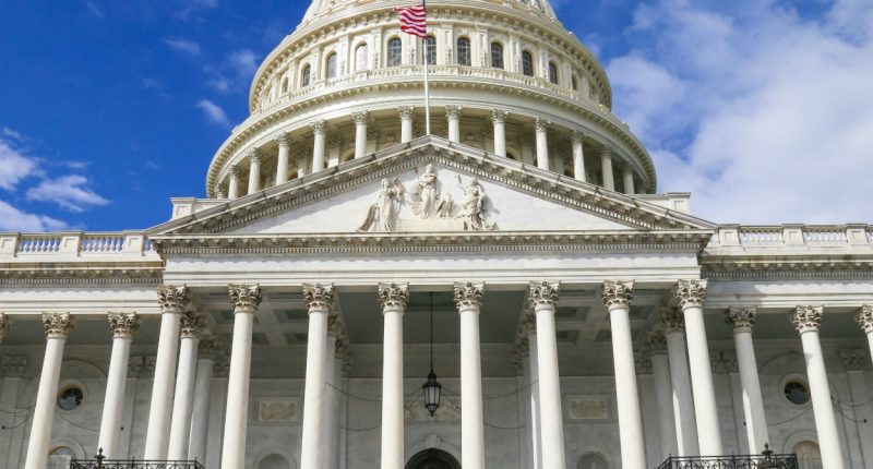 Close Up of U.S. Capital | 5 Ways to Explain Away Black Conservatives | Congress Advisors | List of Black Conservatives Commentators | Famous Black Conservatives | Public Square Magazine
