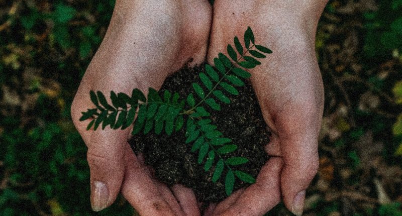 Our Opus for Unity on Earth Day