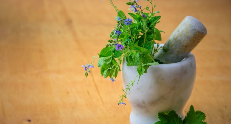 How Collective Healing Happens