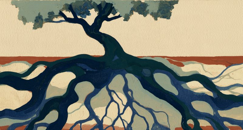 A tree with prominent underground roots evokes the foundations of belief during a faith crisis.