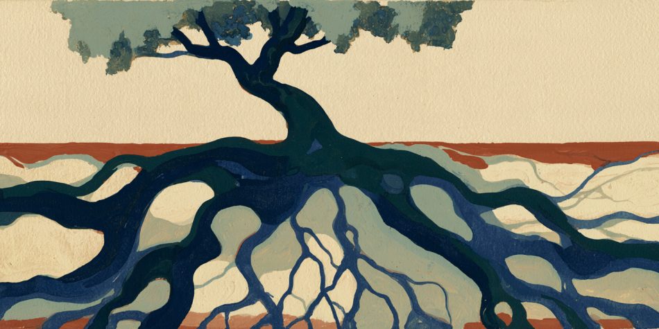 A tree with prominent underground roots evokes the foundations of belief during a faith crisis.