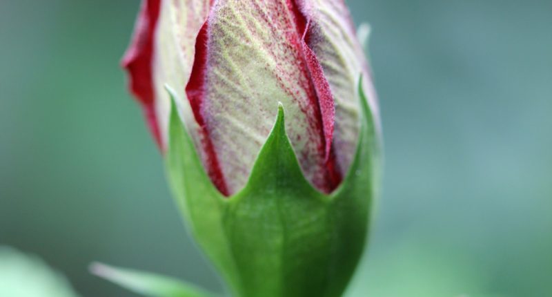 Photo by Sandy Millar on Unsplash